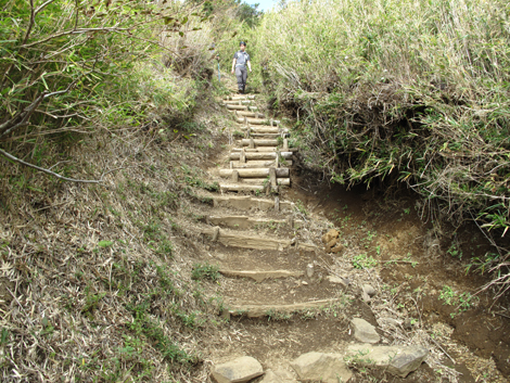 20181025hike (48)